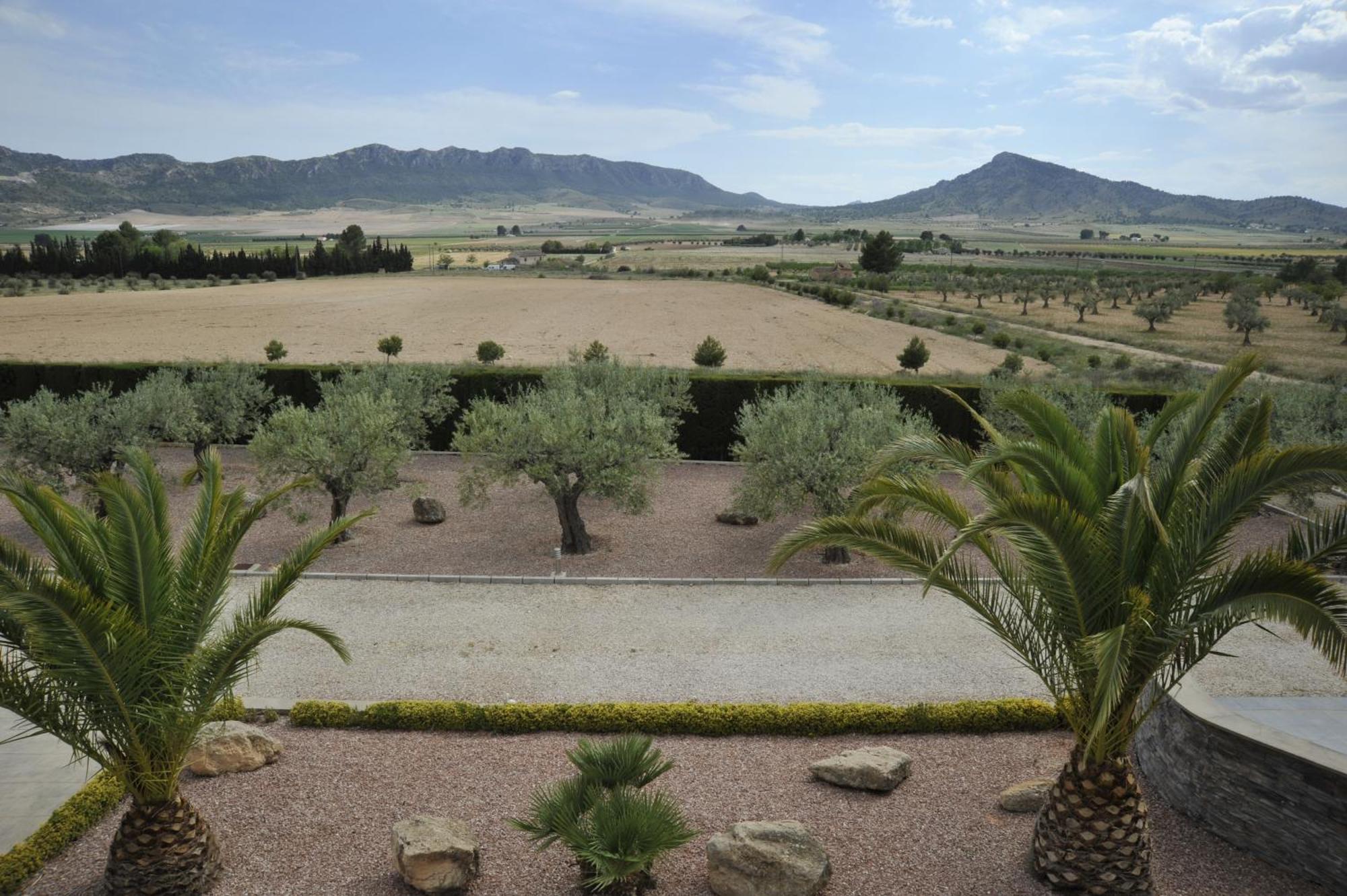 Villa Campo Premium Yecla Extérieur photo